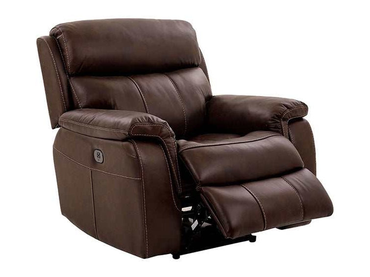 Antenor Brown Top Grain Leather Match Power Recliner