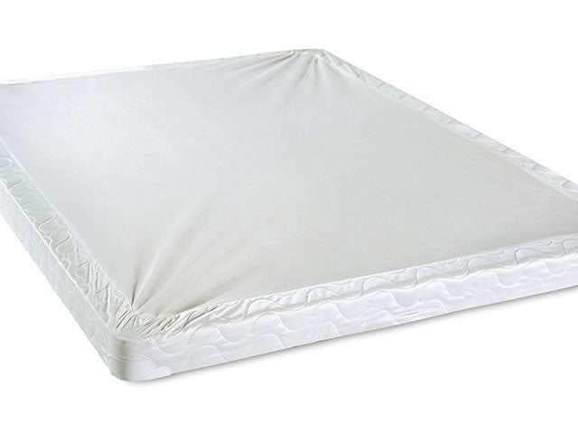 Bird of Paradise White Queen Foundation 7"