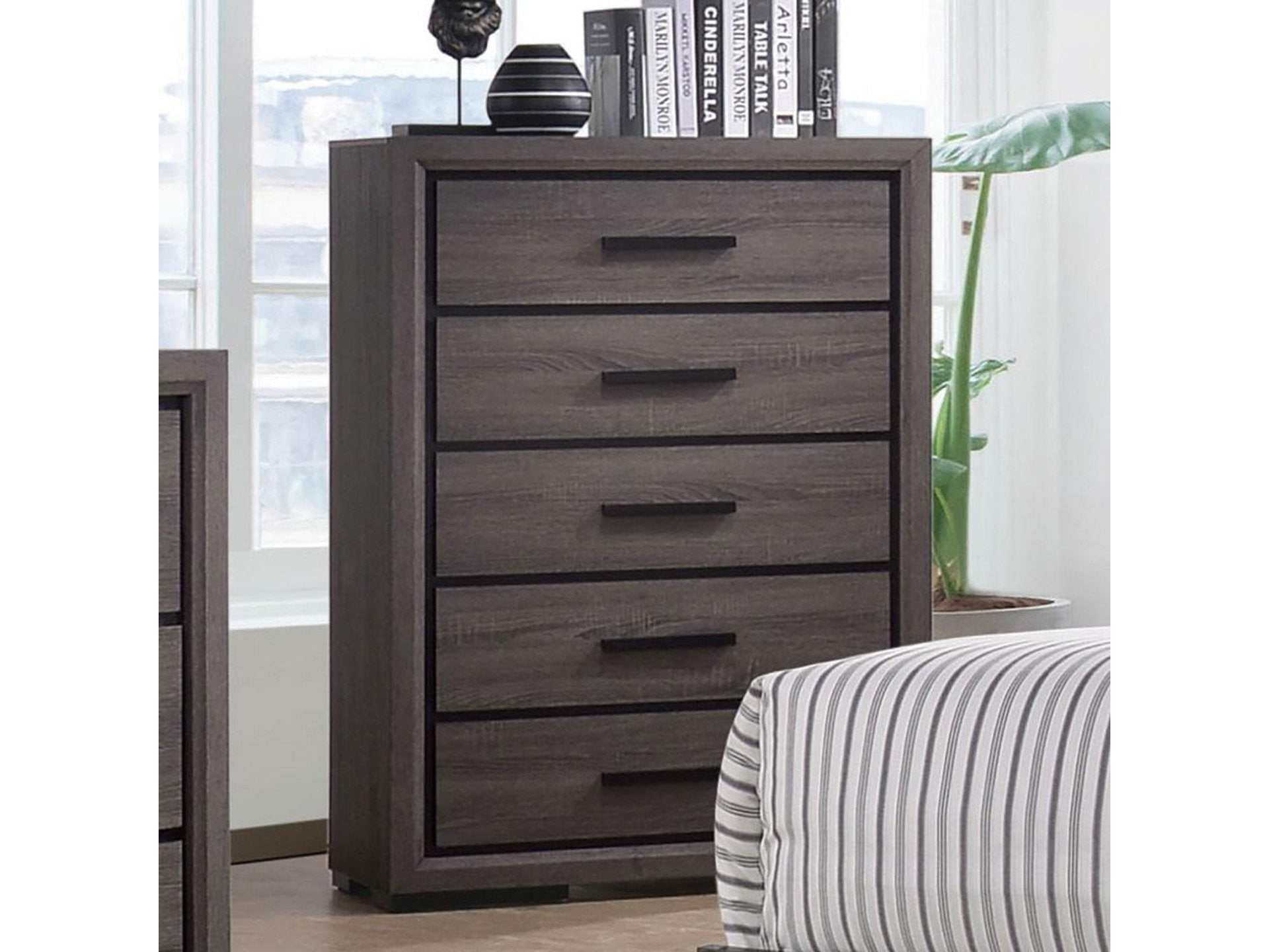 Conwy Gray Chest