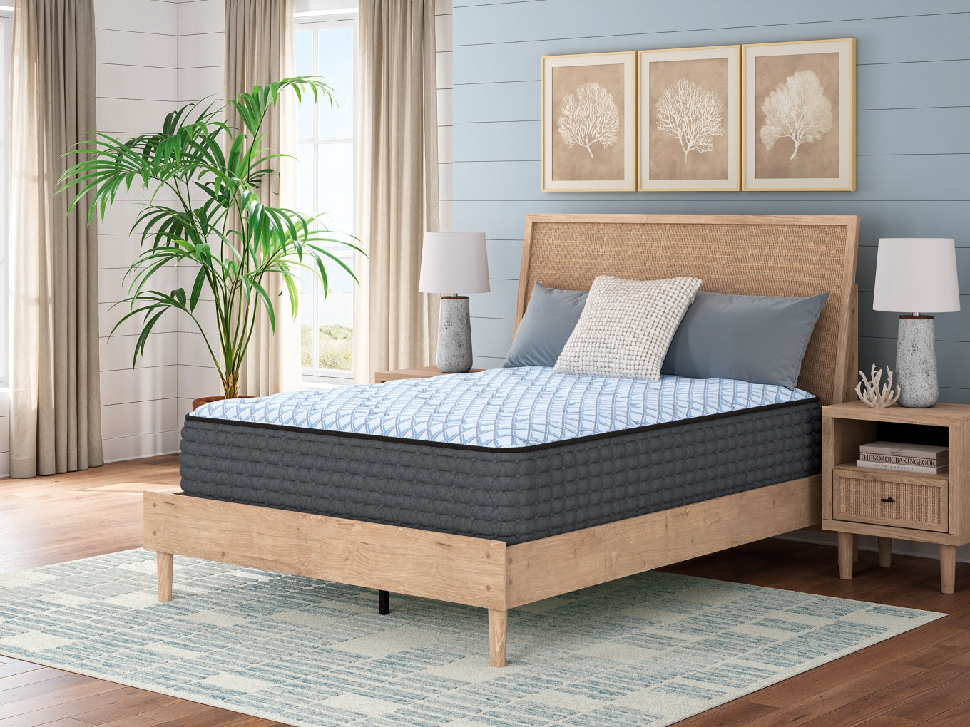 Destin Cove PlushMattress