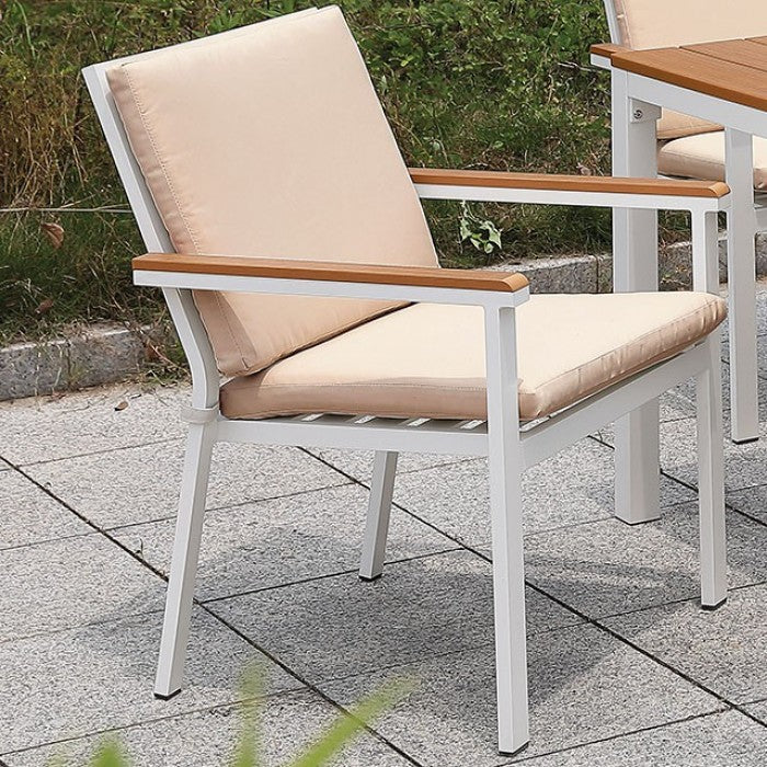 Aisha Accent Chairs