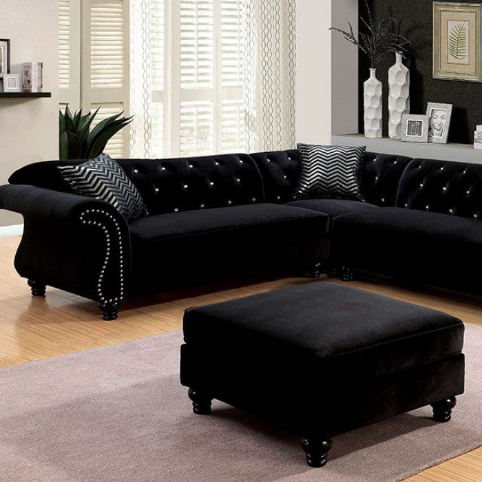 Jolanda Sectionals