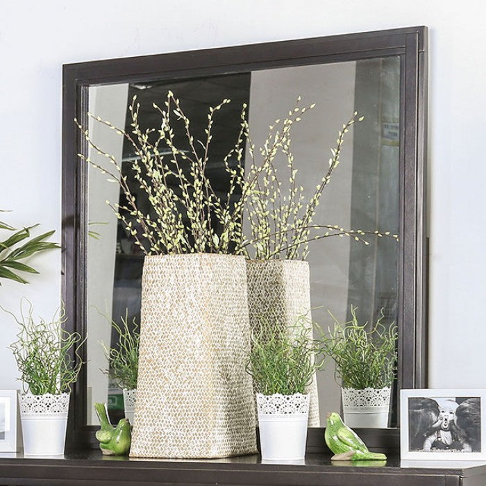 Berenice Mirrors