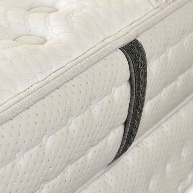 Alyssum Mattresses Cal.King