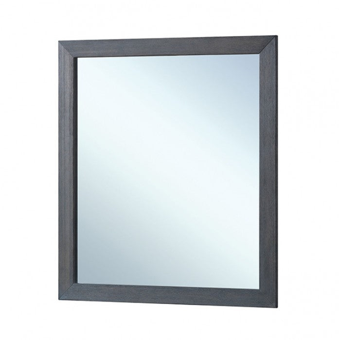 Griffin Mirrors