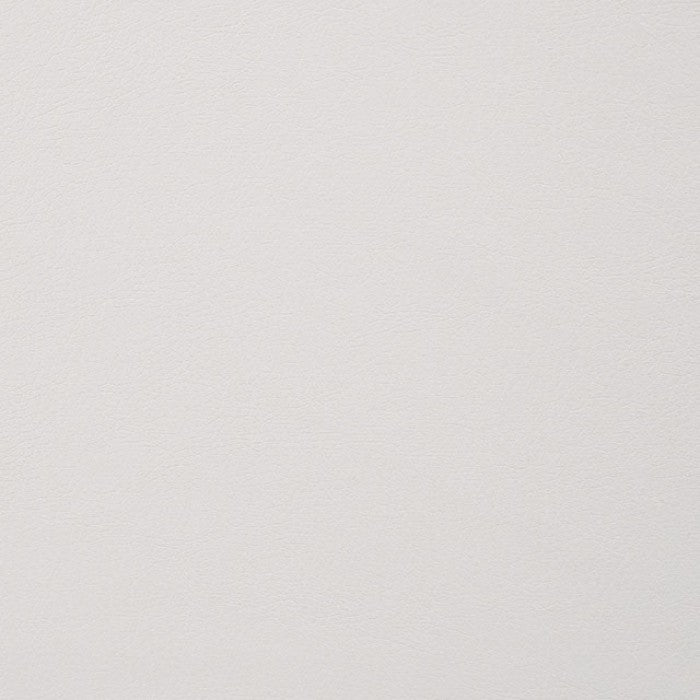 Alisha Dining Chairs