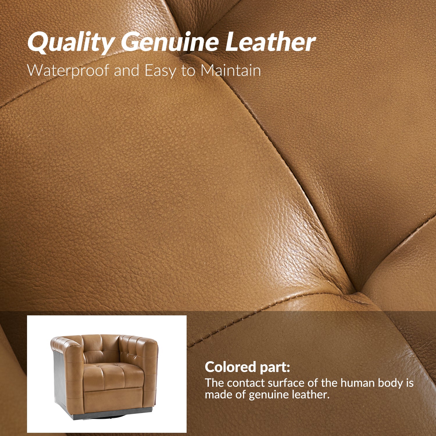 Arnold Genuine Leather Swivel Club Chair in Camel