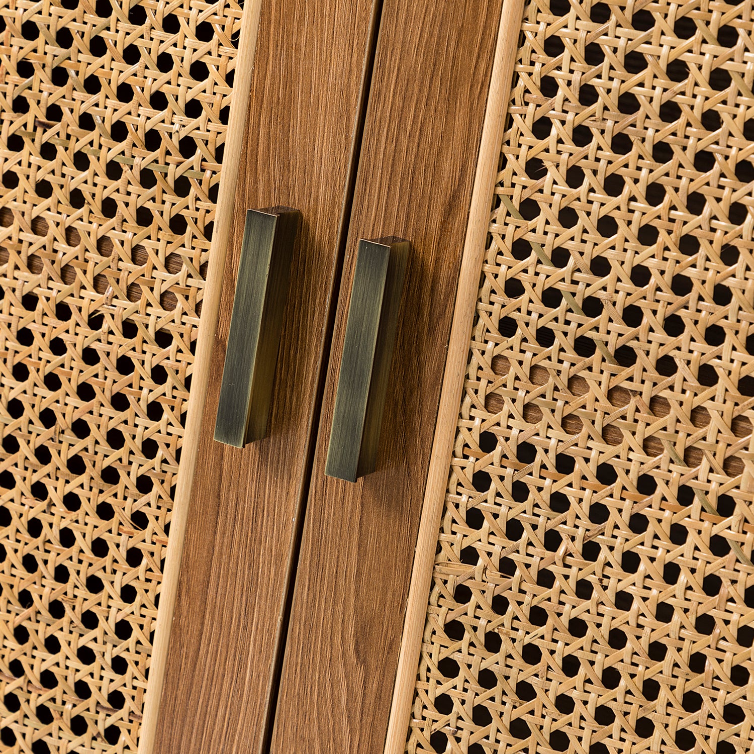 Wyoming Accent Cabinet in Walnut