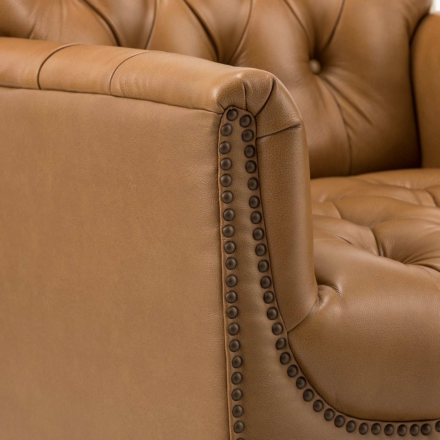 Elijah Genuine Leather Armchair in Camel