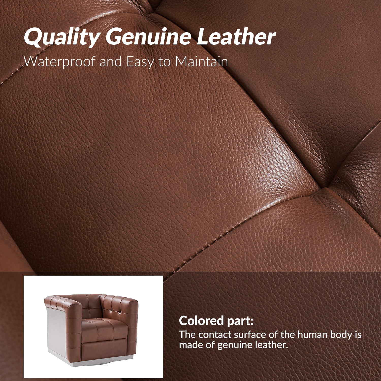 Arnold Genuine Leather Swivel Club Chair in Brown