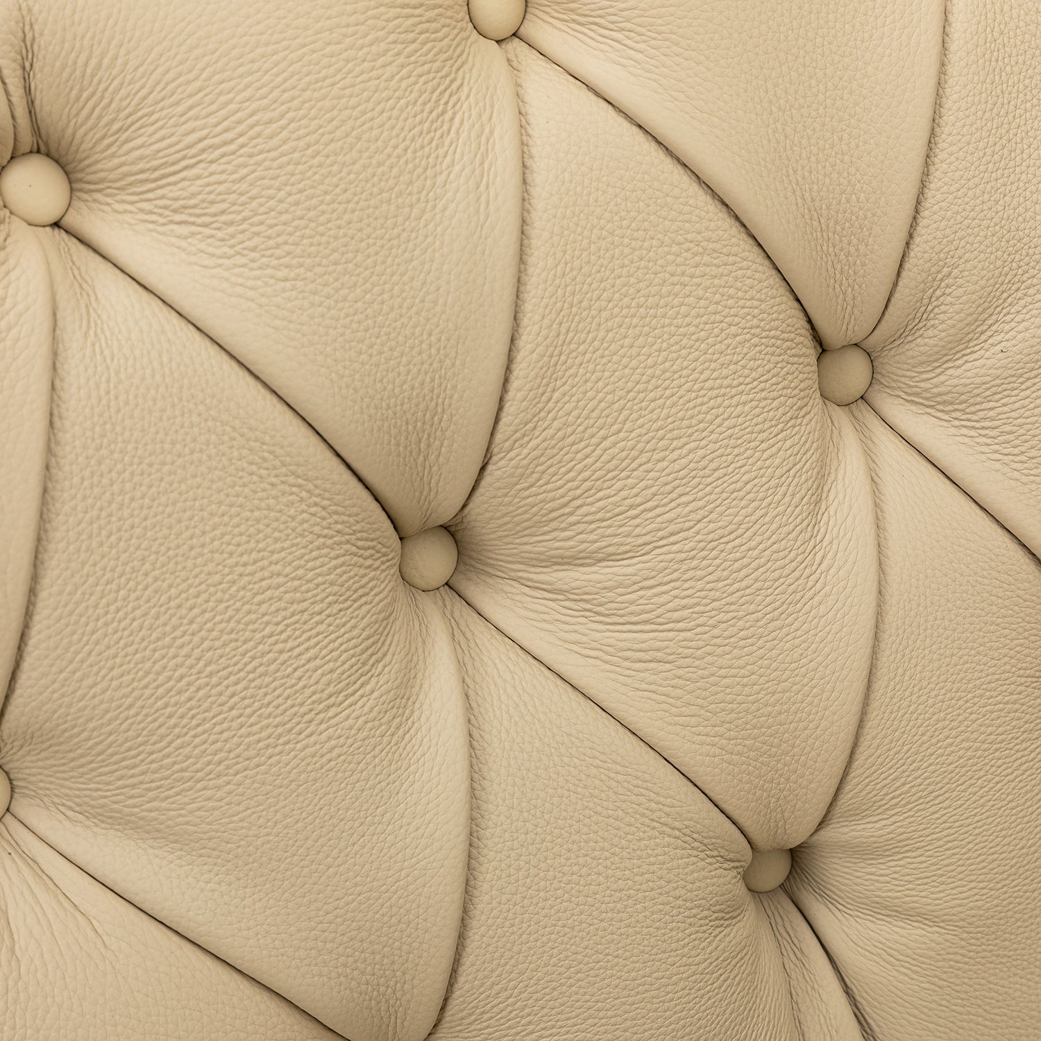 Elijah Genuine Leather Armchair in Beige