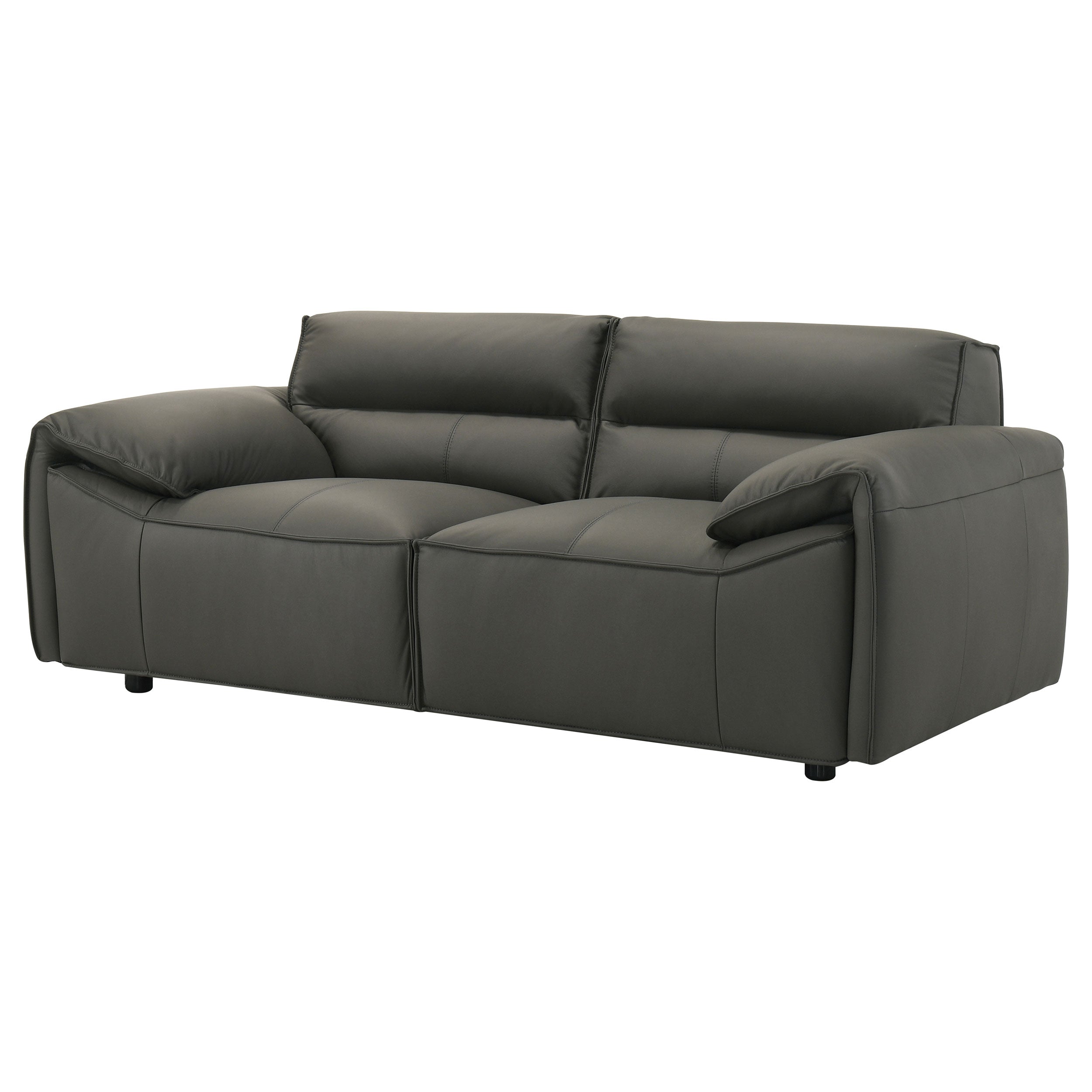Buxton Top Grain Leather Upholstered Loveseat Graphite