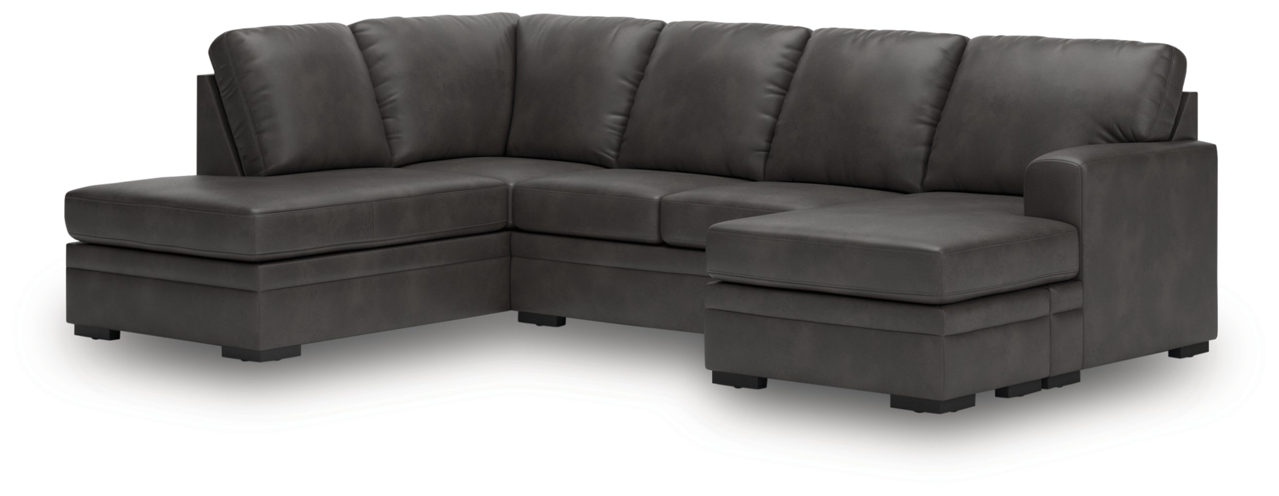 Dara Park 2-Piece Sectional with Chaise