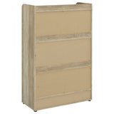 Denia Shoe Cabinet