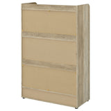 Denia Shoe Cabinet