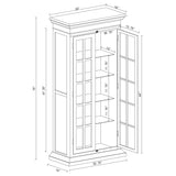 Tammi Accent Cabinet