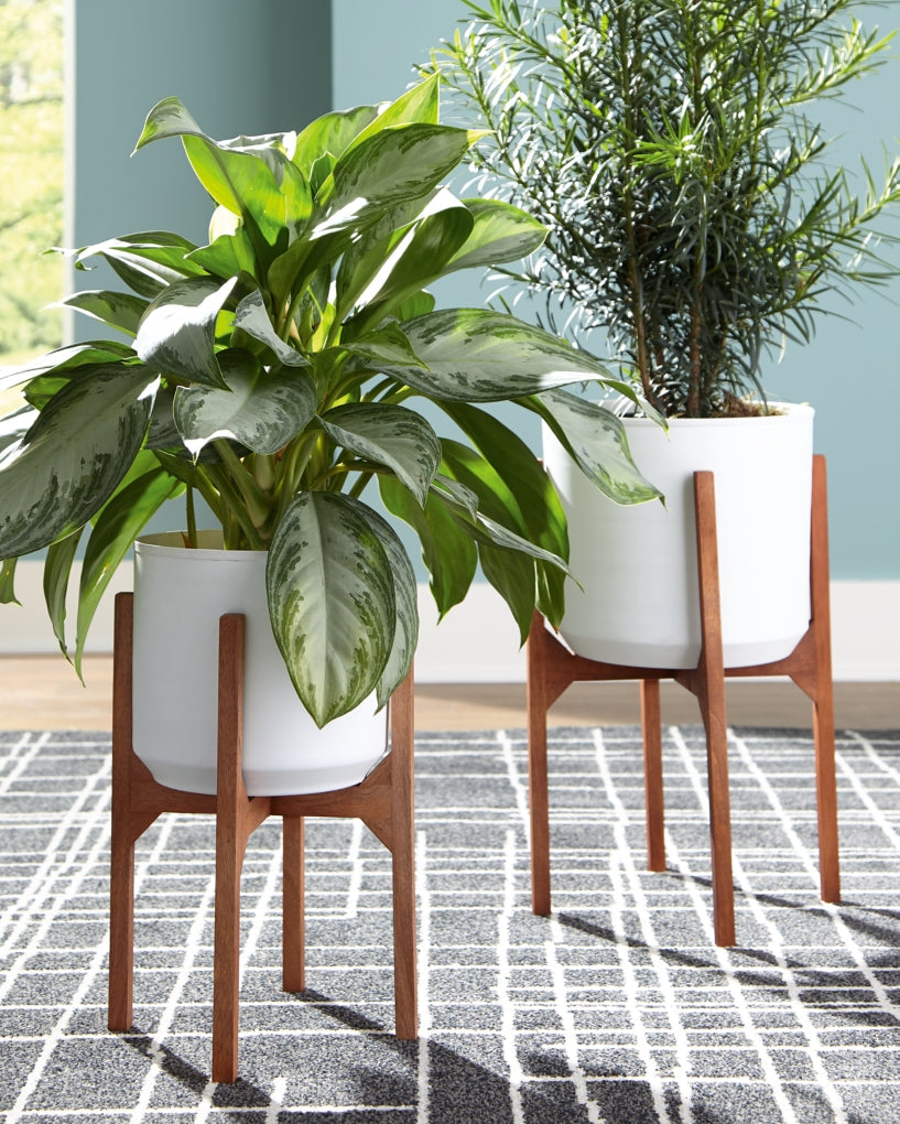Dorcey Planter Set