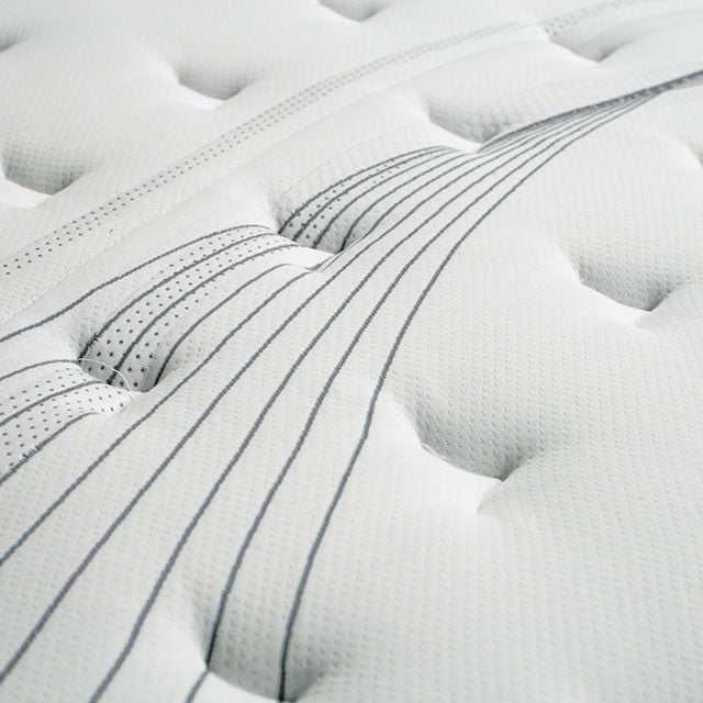Afton White/Gray 12" Euro Box Pocket  Queen Coil