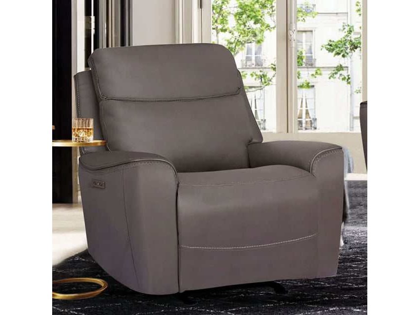 Artemia Gray Power Recliner