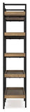 Montia 76" Bookcase