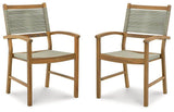 Janiyah Outdoor Dining Arm Chair (Set of 2)