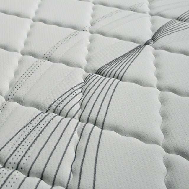 Edrea White/Gray 10" Tight Top Pocket  Queen Coil