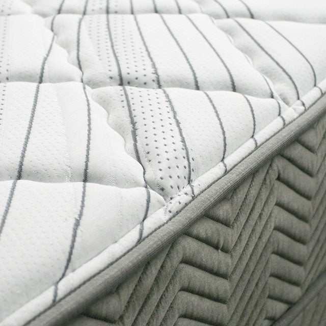 Edrea White/Gray 10" Tight Top Pocket  Queen Coil