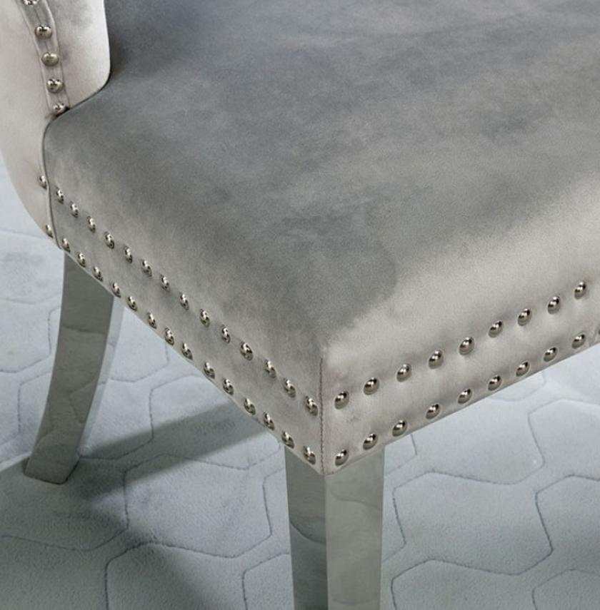 Jewett Velvet & Chrome Side Chair (Set of 2)