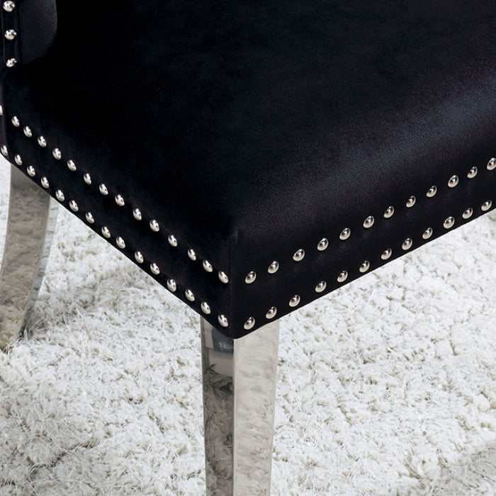 Jewett Velvet & Chrome Side Chair (Set of 2)