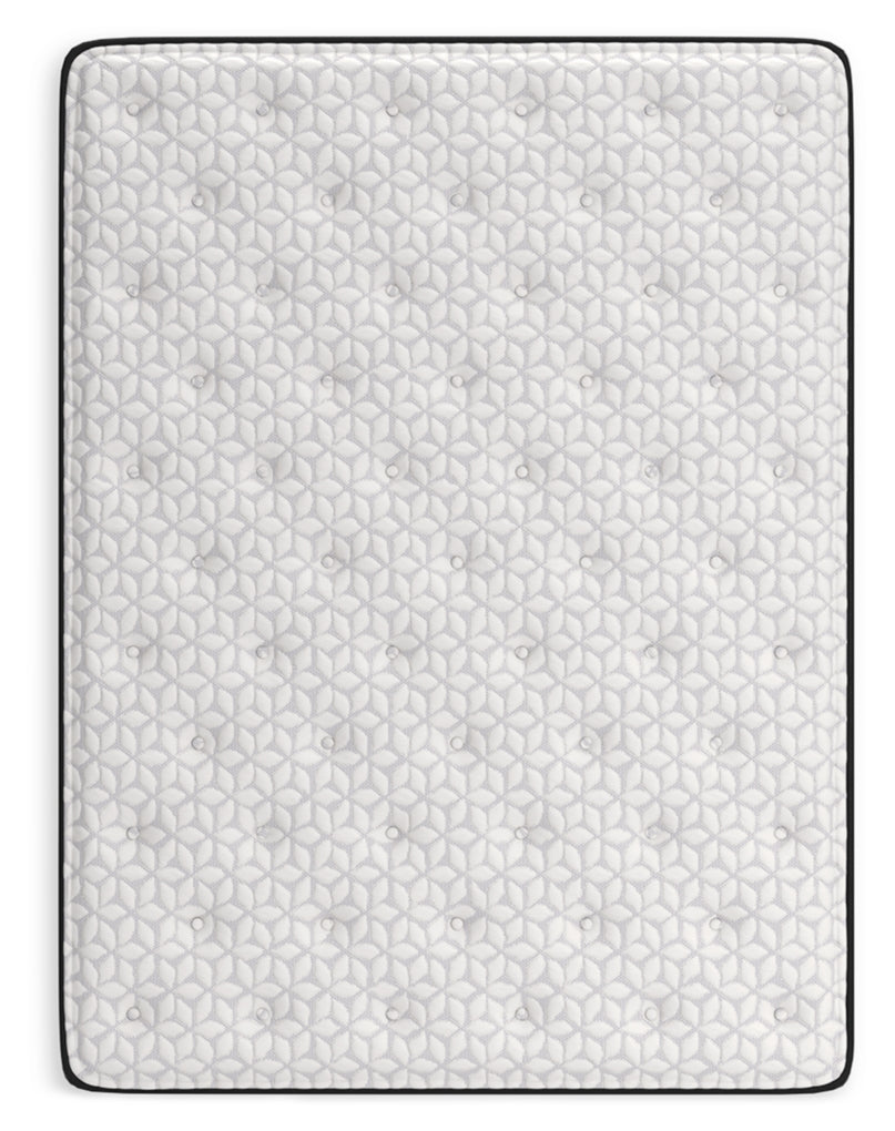 Limited Edition PlushMattress