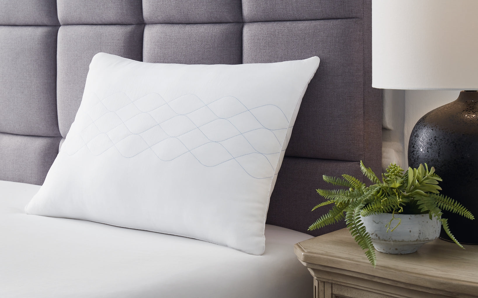 Zephyr 2.0 Cotton Pillow