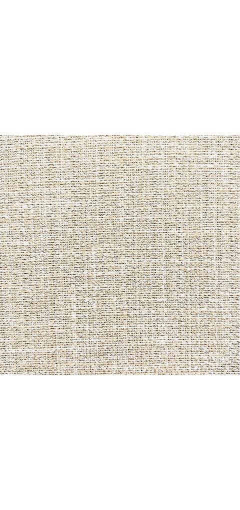 Cool Days Lounge Chair w/Cushion (2/CN)