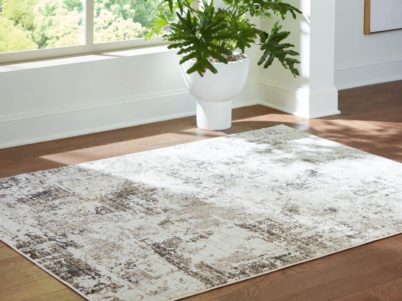 Barricland Rug