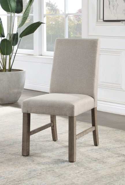 San antonio Grey Side Chair (Set of 2)