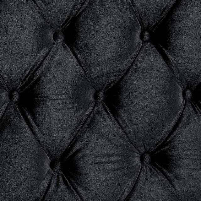 Stefania Black Queen Platform Bed