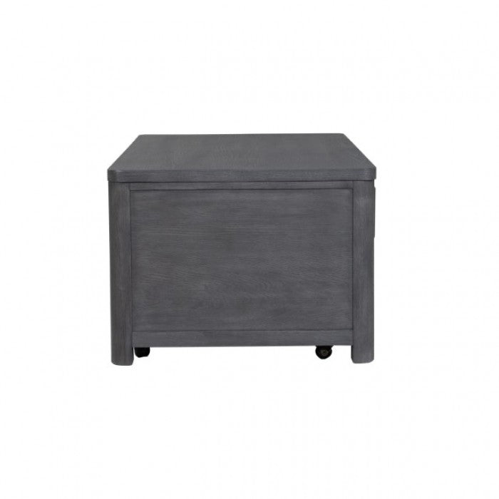 Sterling West Ash Gray Coffee Table