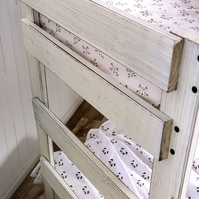 Arlette Bunk Beds