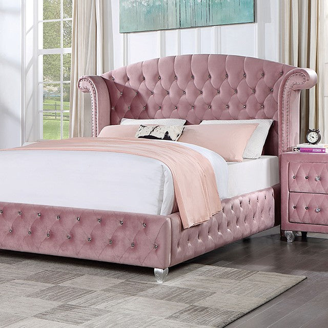 Zohar Beds Queen