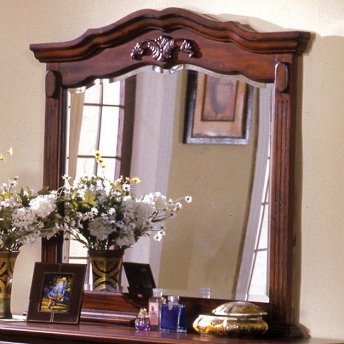 Lewisburg Mirrors 