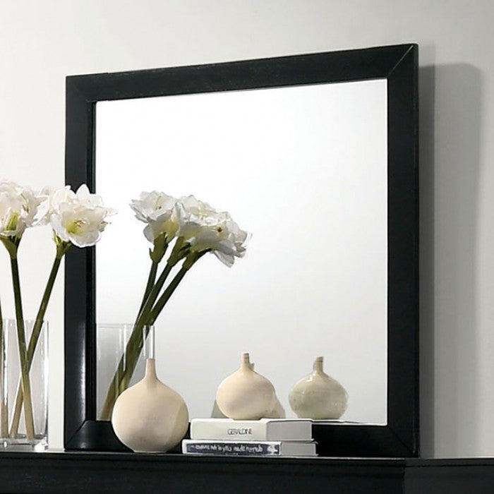 Louis Philippe Mirrors 