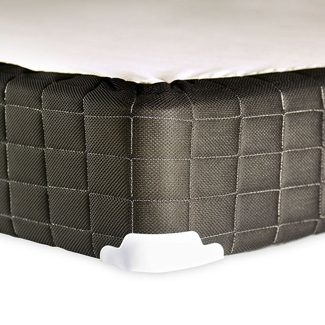 Minnetonka Foundation E.King