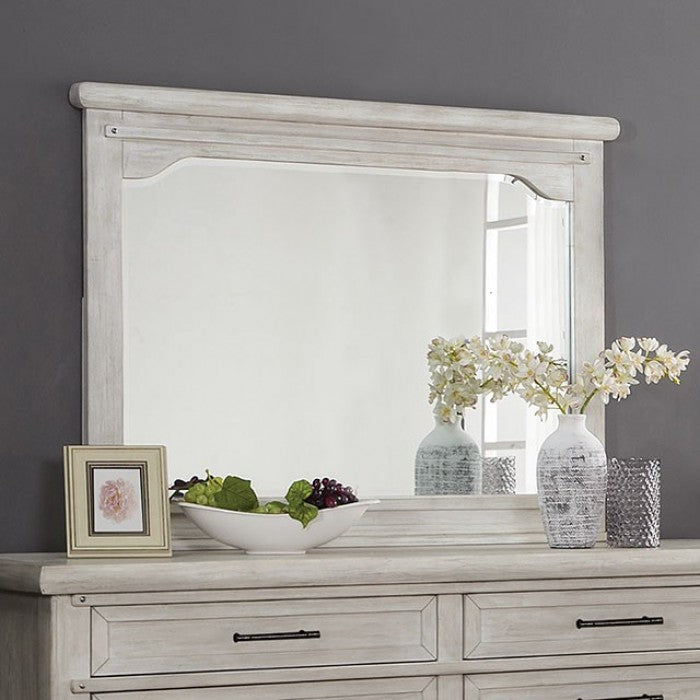 Shawnette Mirrors 