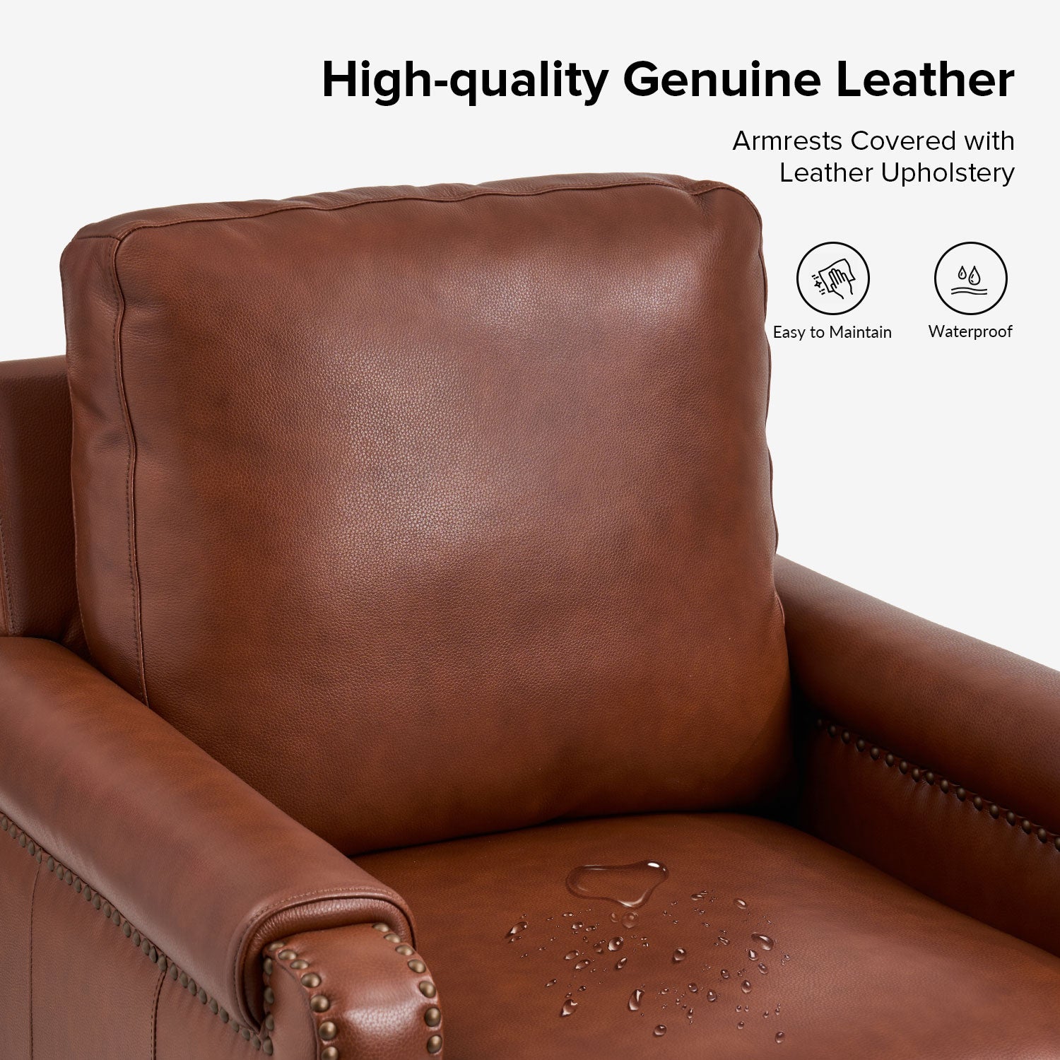 Raimund Genuine Leather Armchair in Brown