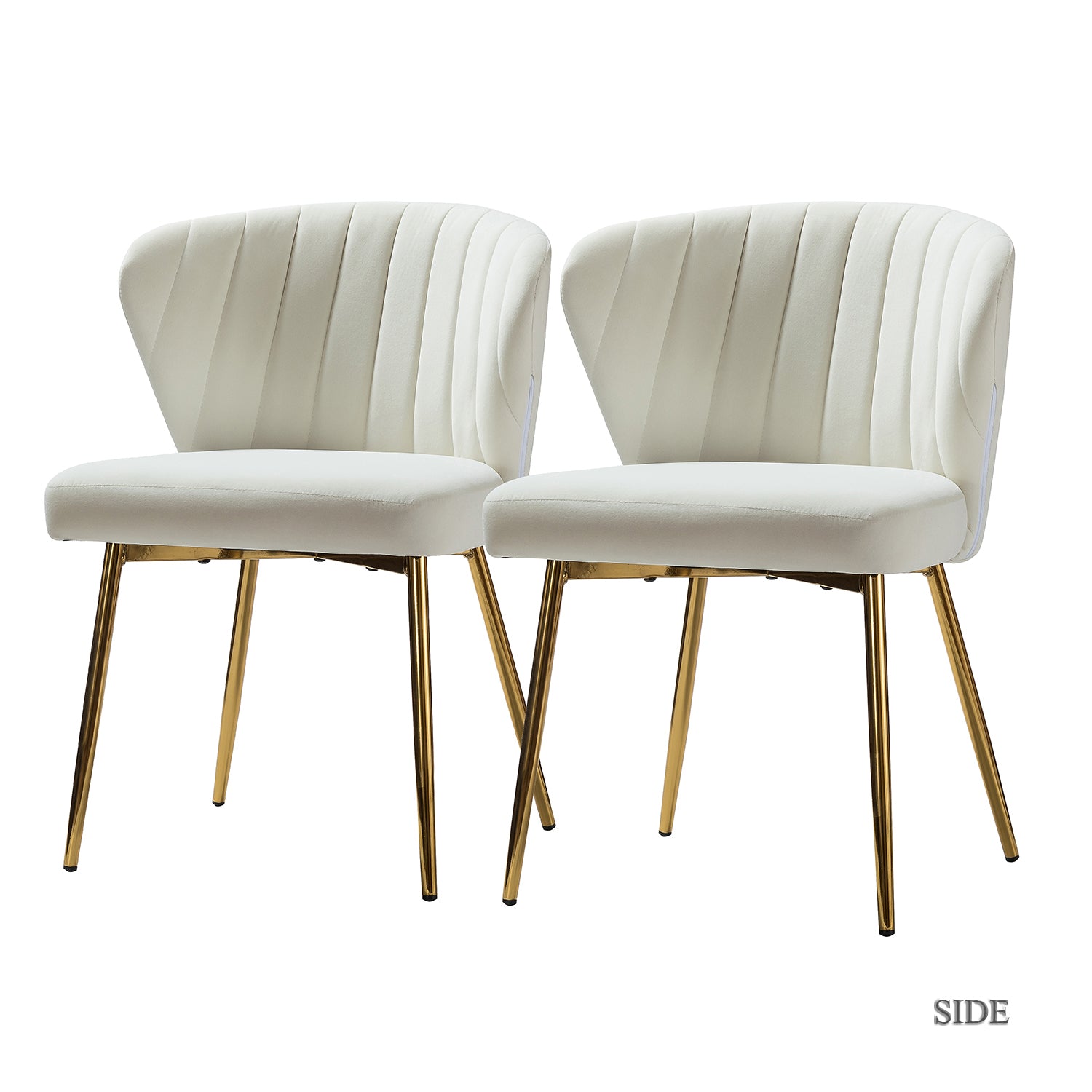 Milia Dining Chair Set of 2 in Ivory