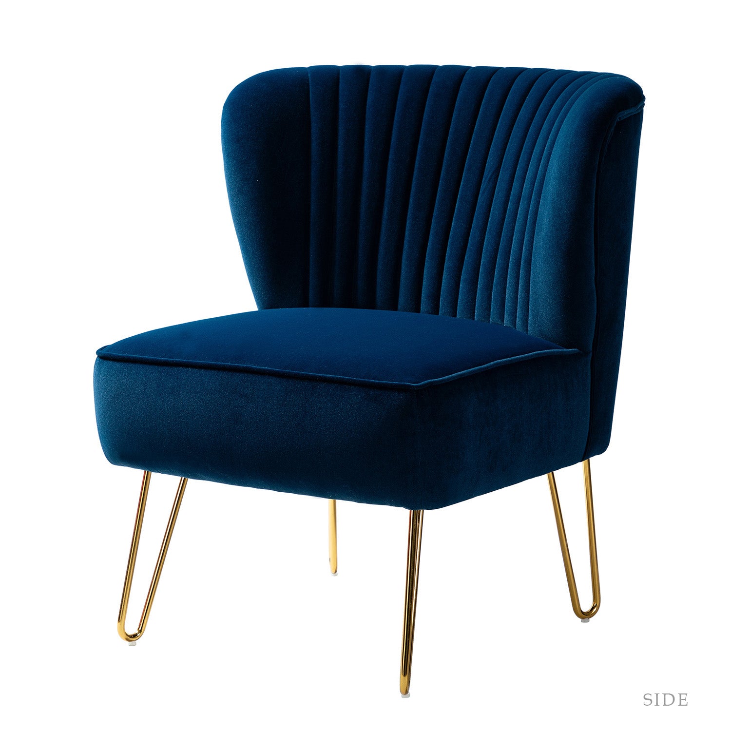 Eloisa Side Chair in Navy